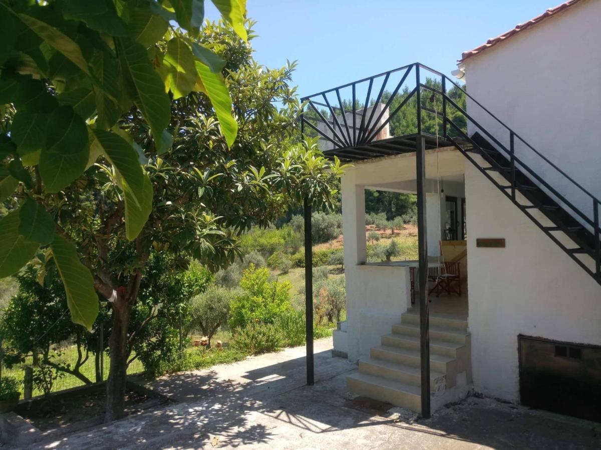 Wildherb House Agriovotano Exterior photo
