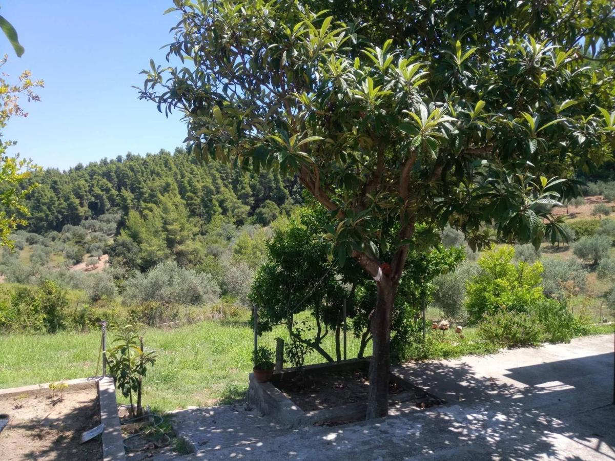 Wildherb House Agriovotano Exterior photo
