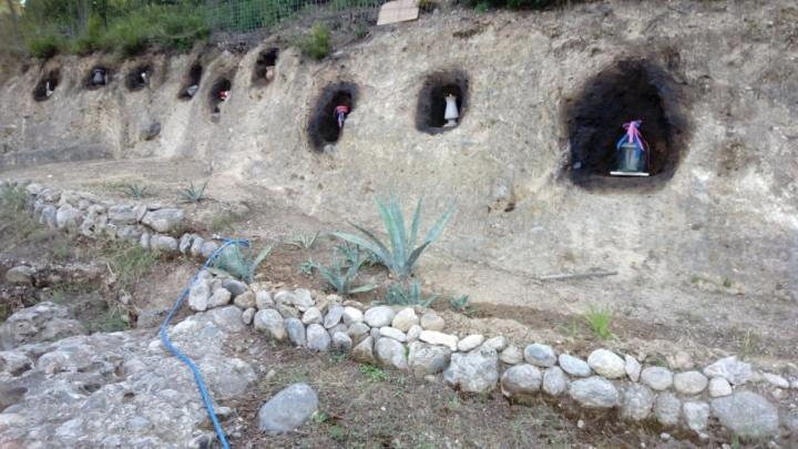 Wildherb House Agriovotano Exterior photo